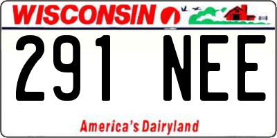 WI license plate 291NEE