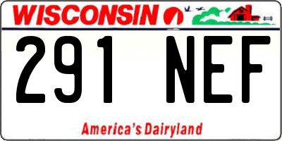 WI license plate 291NEF