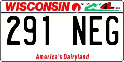 WI license plate 291NEG