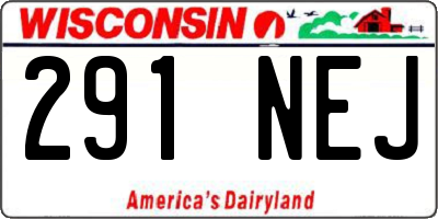 WI license plate 291NEJ