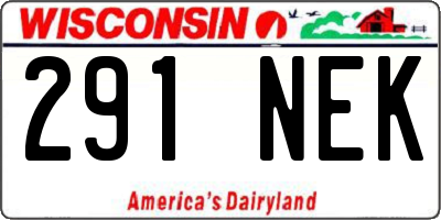 WI license plate 291NEK