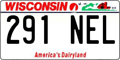 WI license plate 291NEL