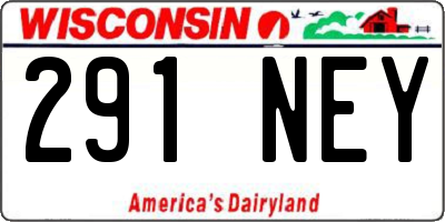 WI license plate 291NEY