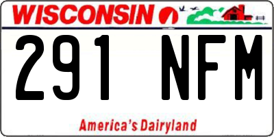 WI license plate 291NFM