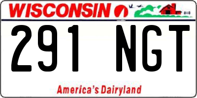 WI license plate 291NGT