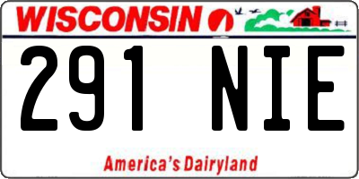 WI license plate 291NIE