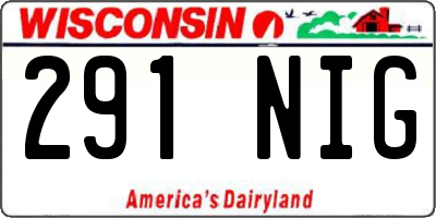 WI license plate 291NIG
