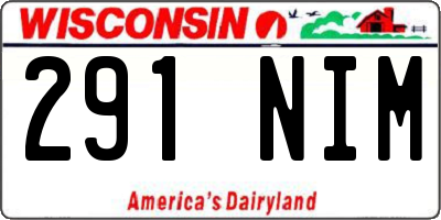 WI license plate 291NIM