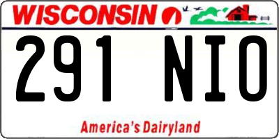 WI license plate 291NIO