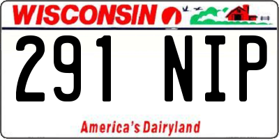 WI license plate 291NIP