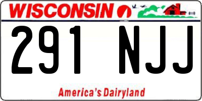 WI license plate 291NJJ