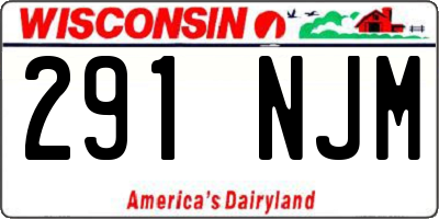 WI license plate 291NJM