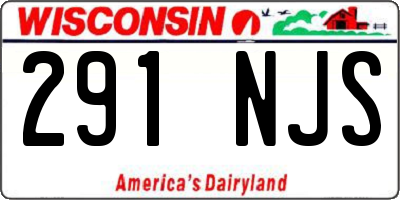WI license plate 291NJS