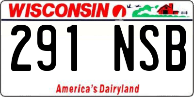 WI license plate 291NSB