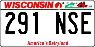 WI license plate 291NSE