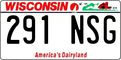 WI license plate 291NSG