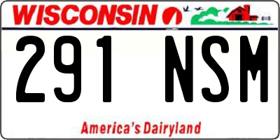 WI license plate 291NSM