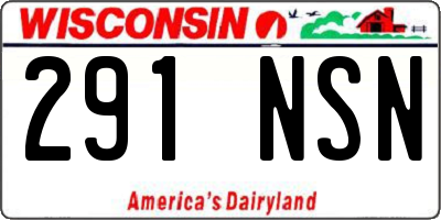 WI license plate 291NSN
