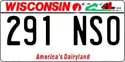 WI license plate 291NSO