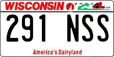 WI license plate 291NSS