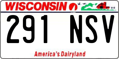 WI license plate 291NSV