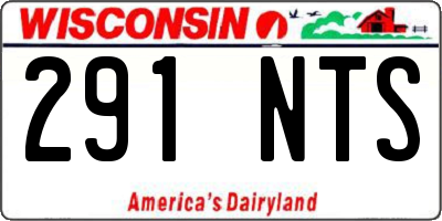 WI license plate 291NTS