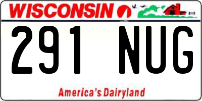 WI license plate 291NUG