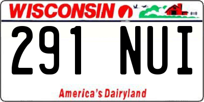 WI license plate 291NUI
