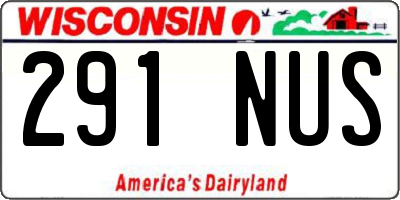 WI license plate 291NUS