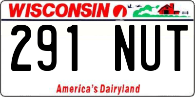 WI license plate 291NUT