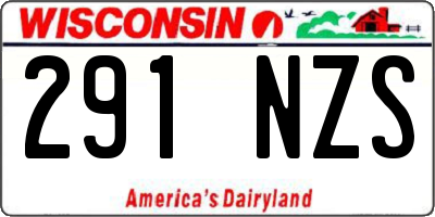 WI license plate 291NZS