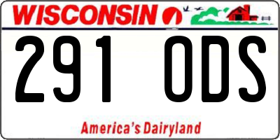 WI license plate 291ODS