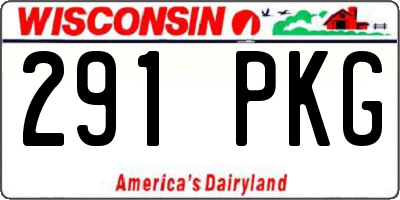 WI license plate 291PKG