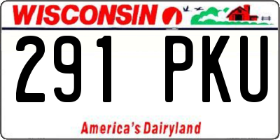 WI license plate 291PKU