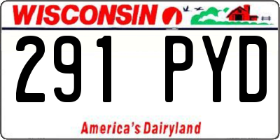 WI license plate 291PYD