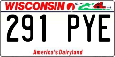 WI license plate 291PYE