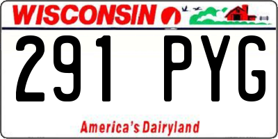 WI license plate 291PYG
