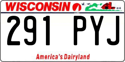 WI license plate 291PYJ