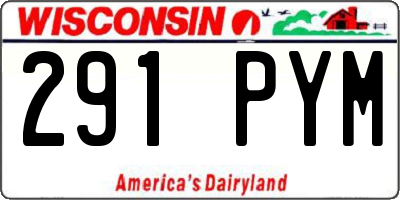 WI license plate 291PYM
