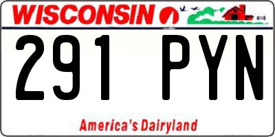WI license plate 291PYN