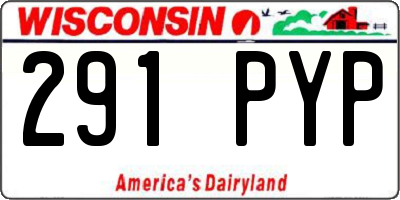 WI license plate 291PYP