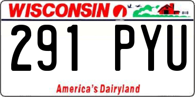 WI license plate 291PYU