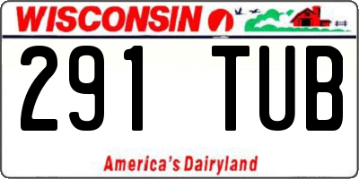 WI license plate 291TUB