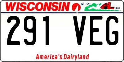 WI license plate 291VEG