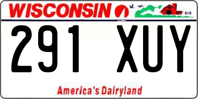 WI license plate 291XUY
