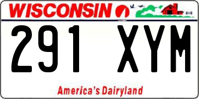 WI license plate 291XYM