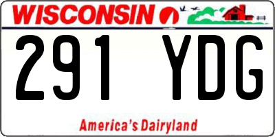 WI license plate 291YDG