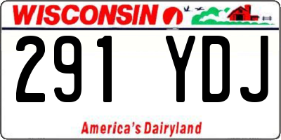WI license plate 291YDJ