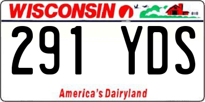 WI license plate 291YDS