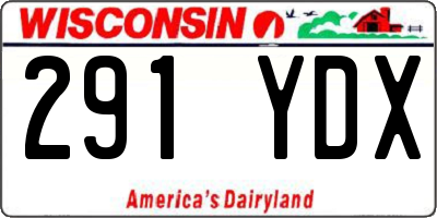 WI license plate 291YDX